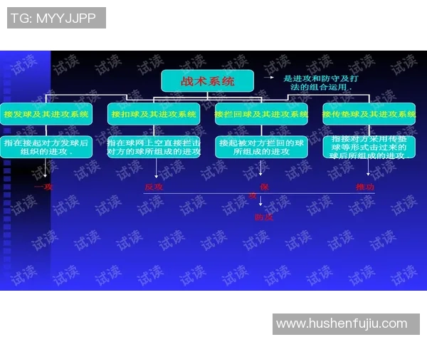 武汉排球队的阵地战策略与战术解析探讨排球热点动态